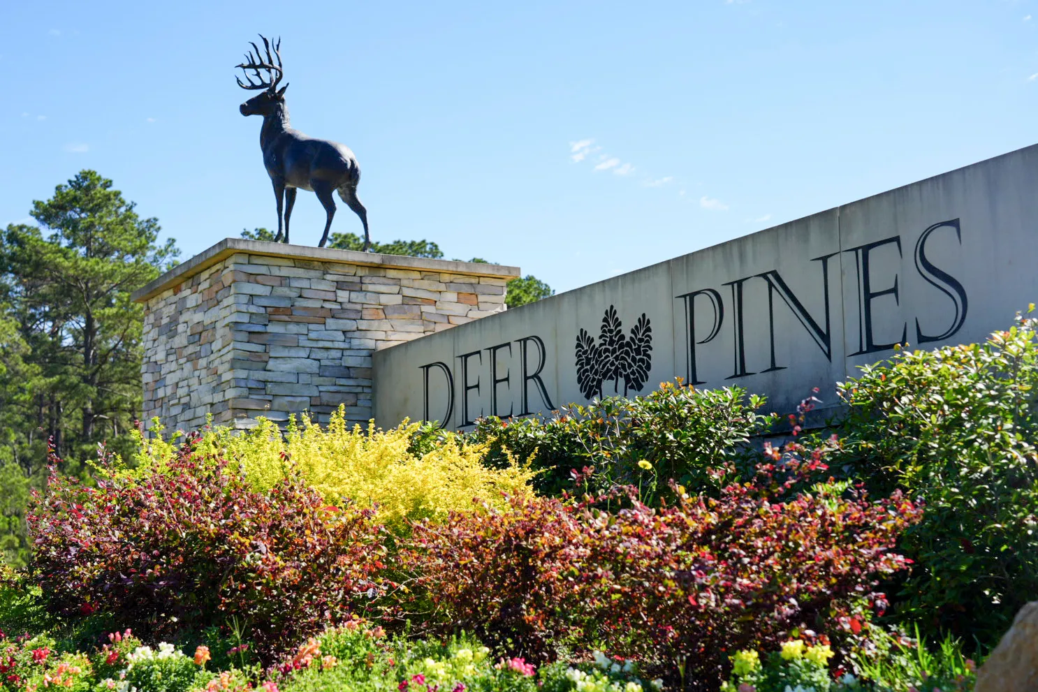 Deer Pines | Elk Ridge Homes